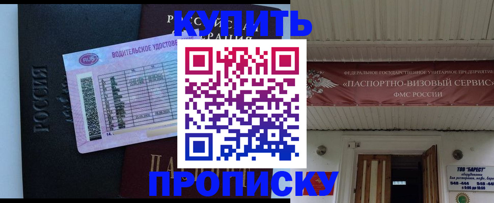 временная регистрация поиск в Светлогорске